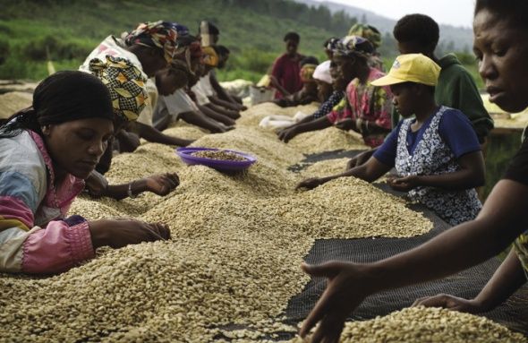 UNCDF releases case-study report for REFAD project in Rwanda