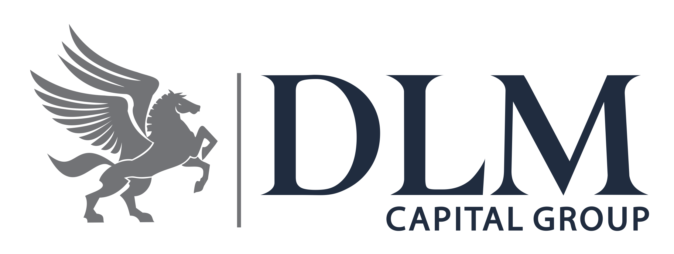 DLM Capital Group acquires Links Microfinance Bank
