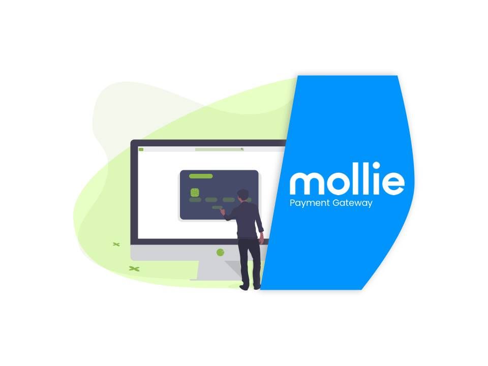 Mollie now valued at $6.5 billion dollar with latest fund injection