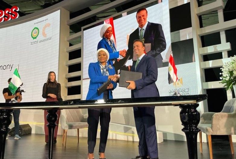 All you need to know about the new Nigeria/Egypt Fintech collaboration deal