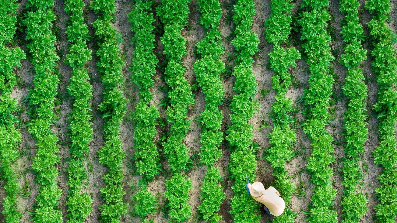 What Next? Vol 4. Take the Leap with these Opportunities this Week